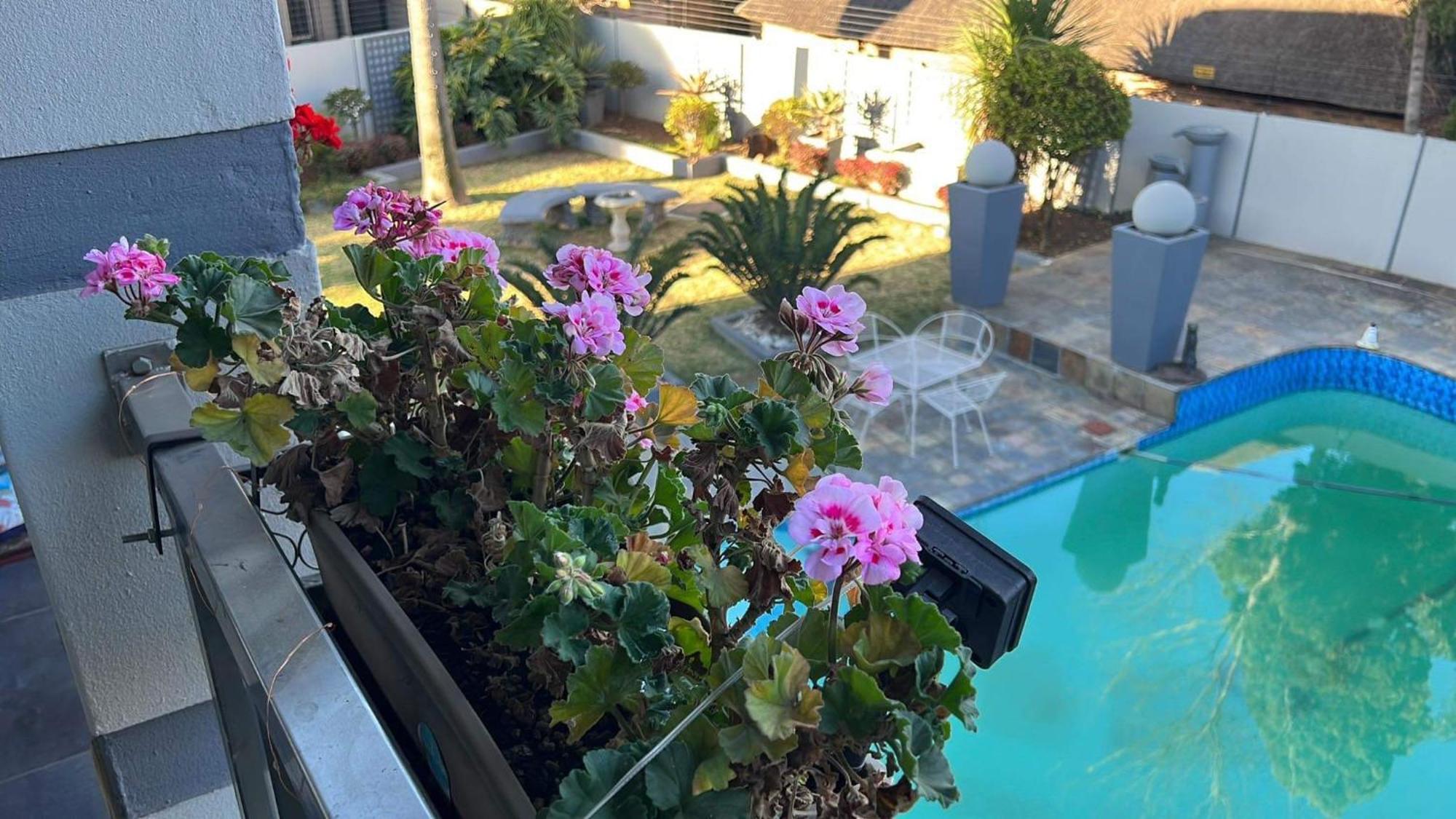 2 Op Terblanche Guesthouse Boksburg Zewnętrze zdjęcie